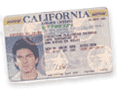 california license